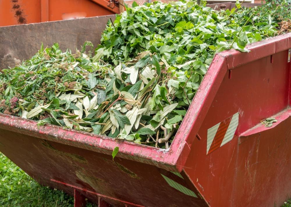 Débarras déchets verts à La Tremblade
